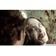 H5N1 - VOST EN